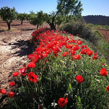Cortijo Los Soledad El Sauco Exterior foto