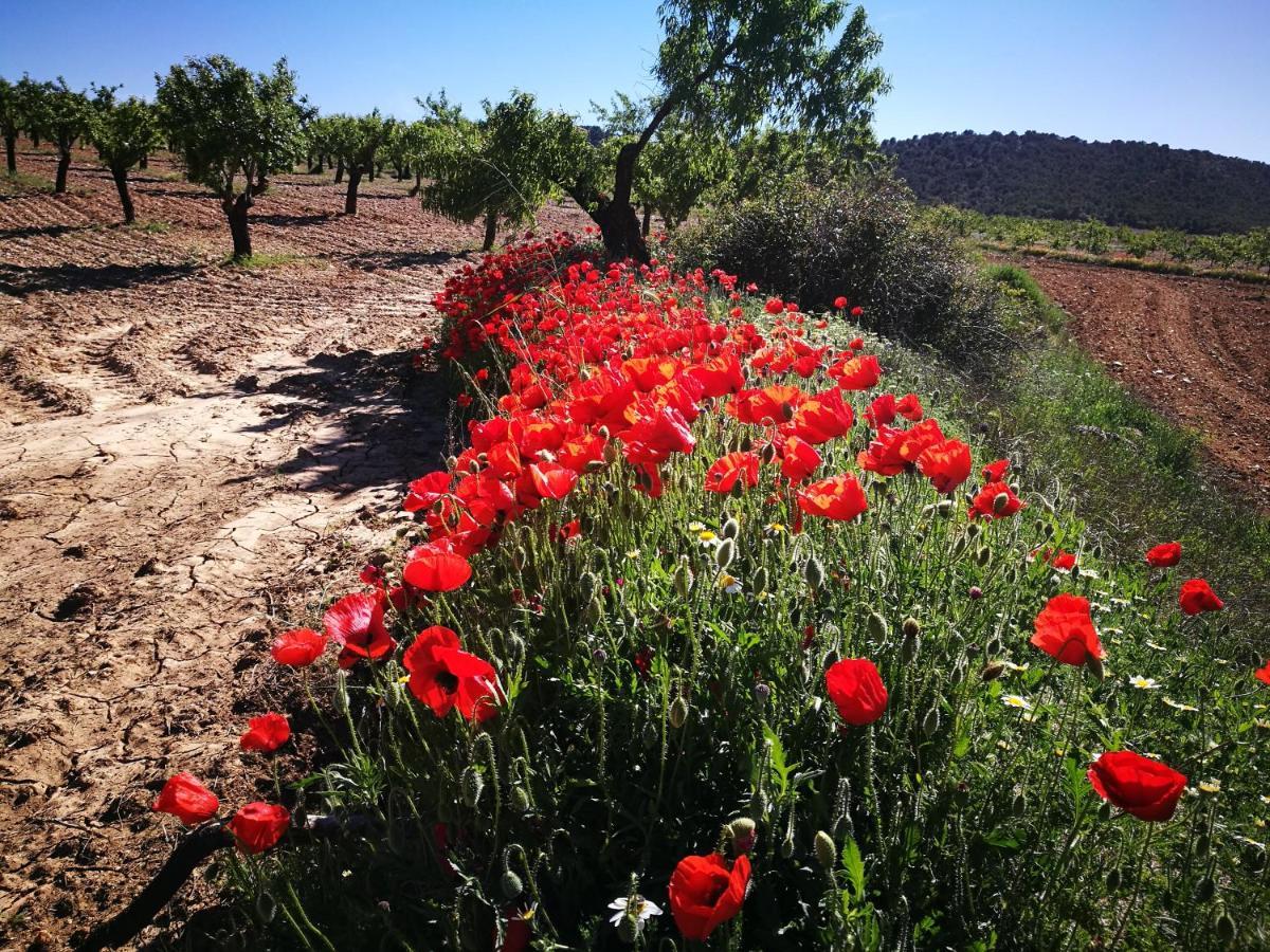Cortijo Los Soledad El Sauco Exterior foto